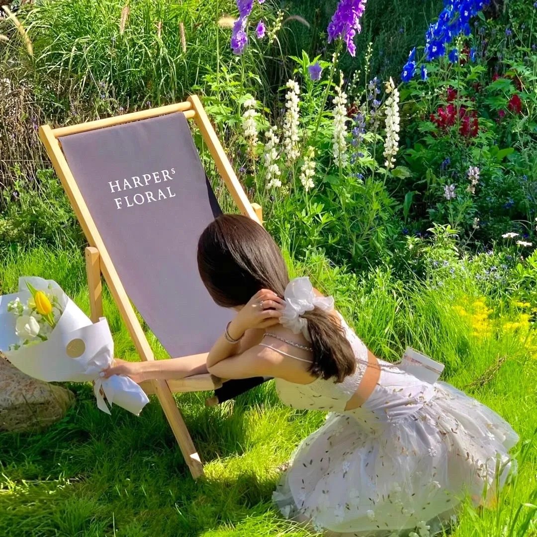 我在玄幻世界直播带货